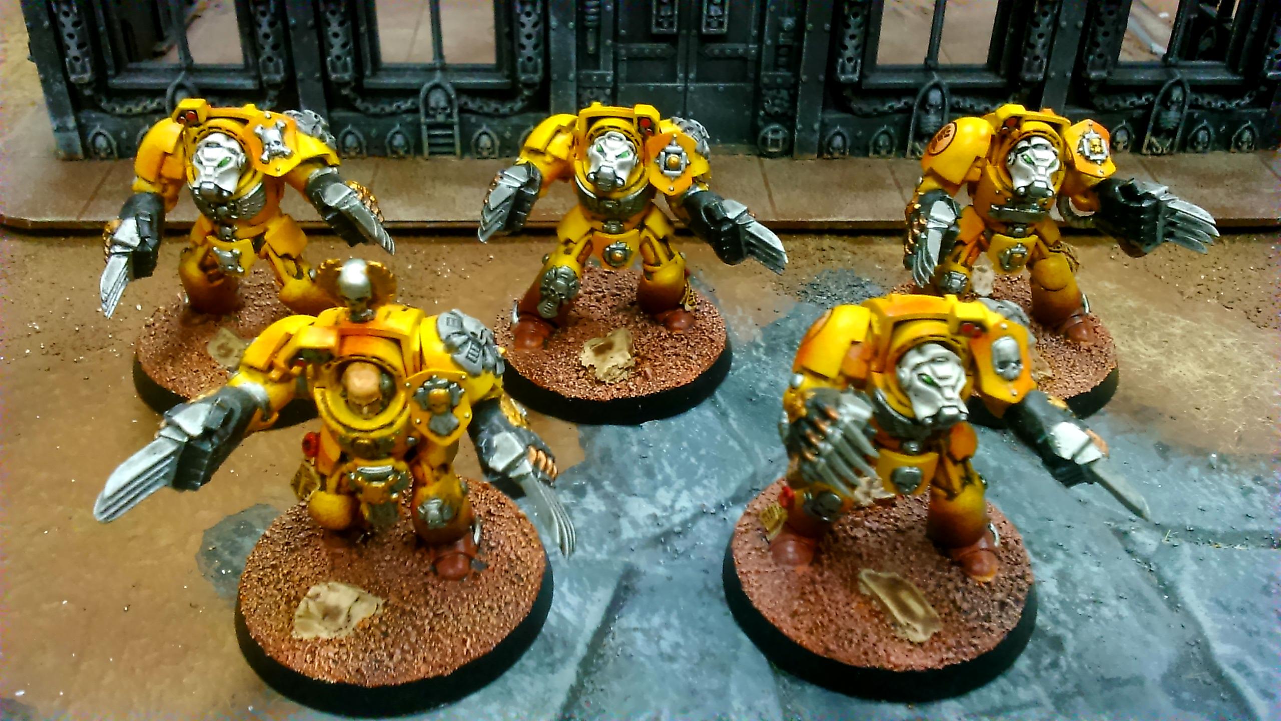 bandai space marine imperial fist